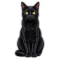 Black Cat Sticker
