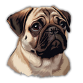 Pug Dog Sticker