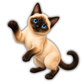 Siamese Cat Sticker